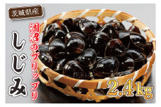 涸沼のプリップリ中粒冷凍しじみ（砂抜き済）【蜆 シジミ 10000円以内 クール すなぬき 味噌汁 栄養 貝汁 贈り物 ギフト 水戸市】（BJ-1）