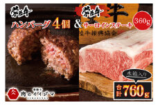 お中元 食べ物 肉 常陸牛ハンバーグ 4個 ＆ サーロインステーキ 120g×3枚 詰め合わせセット ギフト お返し 内祝い 焼くだけでレストランの味 水戸市 茨城県 【肉のイイジマ】（DU-87）