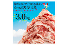 【数量限定】リピーター続出！茨城県産ブランド豚切り落とし3kg (300g×10p)【肉 豚肉 切り落とし 小分け 真空 真空パック 茨城県産 肉料理 肩ロース ウデ モモ バラ 水戸市 水戸】（EC-101）