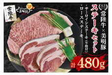【常陸牛 A5ランク・美明豚ステーキセット】常陸牛サーロインステーキ200g＋美明豚ロースステーキ280g（140g×２枚） 冷凍 国産牛 和牛 牛肉 豚肉　ブランド豚 茨城県 水戸市 食べ比べ セット商品 国産 15000円 老舗精肉店 EK-18

