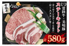 【常陸牛 A5ランク・美明豚ステーキセット】常陸牛サーロインステーキ300g＋美明豚ロースステーキ280g（140g×２枚） 冷凍 国産牛 和牛 牛肉 豚肉　ブランド豚 茨城県 水戸市 食べ比べ セット商品 国産 20000円以内 老舗精肉店 EK-19
