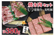 【常陸牛 A5ランク・美明豚焼肉セット】常陸牛カルビ180g＋美明豚200g（ロース100g・ばら100g） 冷凍 国産牛 和牛 牛肉 豚肉　ブランド豚 茨城県 水戸市 食べ比べ セット商品 国産 BBQ 10000円以内 老舗精肉店 EK-22
