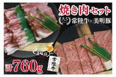 【常陸牛 A5ランク・美明豚焼肉セット】常陸牛カルビ360g＋美明豚400g（ロース200g・ばら200g） 冷凍 国産牛 和牛 牛肉 豚肉　ブランド豚 茨城県 水戸市 食べ比べ セット商品 国産 BBQ 20000円以内 老舗精肉店 EK-23
