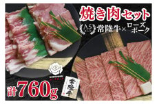 【常陸牛 A5ランク・ローズポーク焼肉セット】常陸牛カルビ360g＋ローズポーク400g（ロース200g・ばら200g） 冷凍 国産牛 和牛 牛肉 豚肉　ブランド豚 茨城県 水戸市 食べ比べ セット商品 国産 BBQ 20000円以内 老舗精肉店 EK-48

