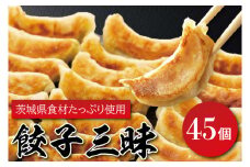 EQ-1　餃子三昧