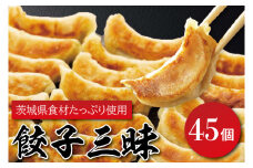 EQ-1　餃子三昧