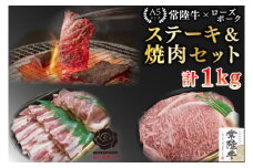 【常陸牛 A5ランク・ローズポークステーキ焼肉セット】常陸牛サーロイン600g（300g×２枚）＋ローズポーク400g（ロース200g・ばら200g） 冷凍 国産牛 和牛 牛肉 豚肉　ブランド豚 茨城県 水戸市 食べ比べ セット商品 国産 BBQ 35000円以内 老舗精肉店 EK-60
