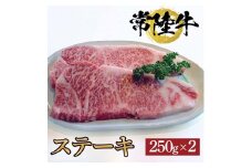常陸牛ステーキ　250ｇ×2枚【牛 お中元 お歳暮 熨斗対応 ギフト 常陸牛 ステーキ 黒毛和牛 国産 銘柄牛 ブランド牛 厚切り 霜降り】（BG-3）