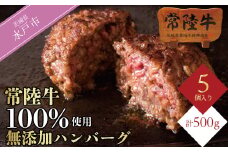常陸牛100% ハンバーグ 無添加 5個 セット リピーター続出！ ギフト お中元 食べ物 肉 10000円 手捏ね 焼くだけでレストランの味 冷凍 小分け ※離島への配送不可（北海道、沖縄本島は配送可能）（DU-6）