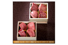 【定期便 / 全2回】常陸牛 肉匠の手切り4種 ステーキ 焼肉 食べ比べセット 66000円 黒毛和牛 国産牛 高級 お中元 内祝い 出産 結婚 ギフト対応 茨城県 水戸市【肉のイイジマ】（DU-9）