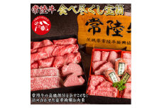 常陸牛食べ尽くし宝箱 お中元 肉 常陸牛ハンバーグ 無添加 ステーキ しゃぶしゃぶ 焼き肉 すき焼き 肉重箱 ギフトセット 常陸牛8種 食べ比べ 内祝い 結婚祝い（茨城県共通返礼品） 茨城県（DU-24）