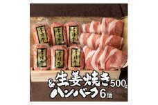 お中元 食べ物 肉 常陸牛100%ハンバーグ6個＆茨城豚ロース生姜焼き500gセット 19000円 焼くだけでレストランの味 お肉 牛肉100% ギフト対応 人気 おすすめ 【肉のイイジマ】 水戸 茨城（DU-27）