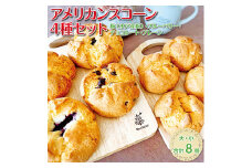 アメリカンスコーン４種（大・小）セット 【ベーカリー パン おやつ 食事 セット 詰め合わせ 卵不使用 焼き菓子 梅ジャム ブルーベリー チョコレート 冷凍 水戸市 水戸 茨城県】（DD-6）