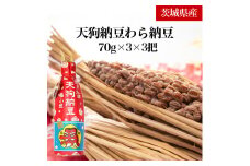 【天狗納豆】わら納豆3本入り 3把【納豆 なっとう 老舗 極小粒 大豆 朝食 ご飯 水戸市 水戸 茨城県 10000円以内 1万円以内】 (DQ-1)