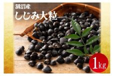 涸沼産 冷凍しじみ 大粒 1kg(200g×5p)（シジミ 大粒しじみ 直接仕入れ 砂抜き済み 砂抜き 小分け包装 味噌汁 みそ汁 茨城県】（CA-1）