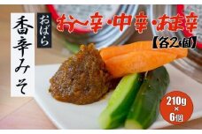 香辛みそセット（6パック入り）【味噌 ミソ みそ 信州味噌 調味料 パック 3種 ディップ 辛味噌 唐辛子 大葉 有機栽培 無農薬栽培 水戸市 茨城県】（AY-3）