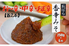 香辛みそセット（6チューブ入り）【味噌 ミソ みそ 信州味噌 調味料 チューブ 3種 ディップ 辛味噌 唐辛子 大葉 有機栽培 無農薬栽培 水戸市 茨城県】（AY-4）