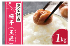 梅干(玉匠)【梅干 梅干し うめぼし 完熟 大粒 ぎょくしょう 天日干し 水戸市 茨城県】（CU-11）