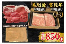 【常陸牛 A5ランク・美明豚味噌漬けセット】常陸牛味噌漬け350g＋美明豚500g(ロース200g・ヒレ300g) 冷凍 国産牛 和牛 牛肉 豚肉　ブランド豚 茨城県 水戸市 食べ比べ セット商品 国産 25000円以内 老舗精肉店 EK-67
