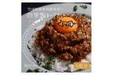 カレー好き必見！【5個入】茨城県産銘柄豚「美明豚」使用！絶品キーマカレーBOX【カレー キーマカレー 自家製 本格 美明豚 ブランド豚 人気メニュー 水戸市 茨城県】（DE-3）