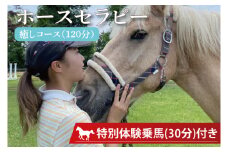 EY-1　ホースセラピー・癒しコース（120分）　乗馬(30分)付き