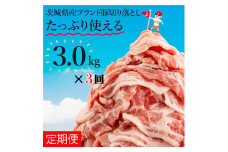 【数量限定】【3か月定期便】リピーター続出！茨城県産ブランド豚切り落とし計9kg(3kg×3回)【肉 豚肉 切り落とし 小分け 真空 真空パック 茨城県産 肉料理 肩ロース ウデ モモ バラ 水戸市 水戸】（EC-102）