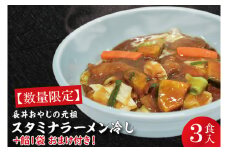 【日時指定必須】長井おやじの元祖スタミナラーメン冷し（３食）【数量限定】+餡１袋 おまけ付き！【ラーメン 麺 スタミナ 冷やし ラーメン ご当地ラーメン ご当地グルメ おまけ付き 元祖 茨城県 水戸市】（FF-2）