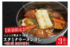 【日時指定必須】ニンニク際立つ「水車」のスタミナラーメン冷し（３食入り）【数量限定】+餡１袋 おまけ付き！【ラーメン 麺 スタミナ ラーメン 冷やし ご当地ラーメン ご当地グルメ 茨城県 水戸市】（FF-4）