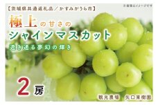 【9月より順次発送】【数量限定】透き通る夢幻の輝き。極上の甘さのシャインマスカット！2房【茨城県共通返礼品／かすみがうら市】【茨城県 水戸市 果物 くだもの フルーツ ブドウ ぶどう 葡萄 マスカット シャインマスカット 期間限定】（FW-4）