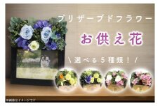 DR-22 プリザーブドフラワー 仏壇 仏花 ペット お供え フォトフレーム 写真立て アレンジメント 供花 屋内墓地 喪中はがきが届いたら 【日時指定可能】