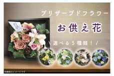 DR-21 お供え 花 プリザーブドフラワー 仏壇 仏花 フレーム デコ お供え用 ギフト 花 アレンジメント 供花 命日 花 屋内 喪中はがきが届いたら 【日時指定可能】