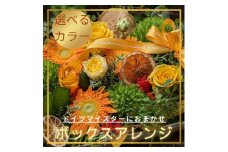 BOXアレンジ【ボックスアレンジ サプライズ 箱アレンジ フラワーアレンジ 花 お花 贈り物 誕生日 送別 母の日 ホワイトデー プロポーズ】（DR-23）
