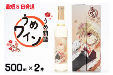 うめ物語 うめワイン【蒼樹うめ うめ物語 梅酒 うめ酒 梅 お酒 ふるさと納税 水戸市 茨城県 低アルコール 爽やか さっぱり うめ ワイン】（DW-114）
