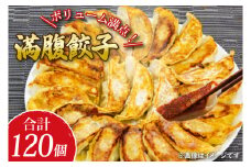 リピーター続出！ボリューム満点！満腹餃子120個（３kg ）【老舗 大容量 国産 焼き餃子 冷凍 ぎょうざ ギョーザ 冷凍餃子 簡単調理 惣菜 おかず 水戸市 水戸 茨城県 10000円以内 1万円以内】（EJ-13）