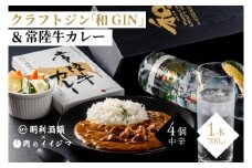ZZ-3　【明利酒類×肉のイイジマ】クラフトジン＆常陸牛カレー