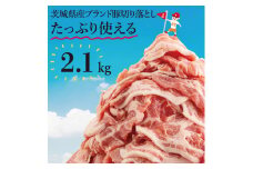 【数量限定】リピーター続出！茨城県産ブランド豚切り落とし2.1kg (300g×7p)【肉 豚肉 切り落とし 小分け 真空 真空パック 茨城県産 肉料理 肩ロース ウデ モモ バラ 水戸市 水戸】（EC-4_1）