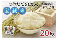 【令和6年産】茨城県産コシヒカリ 宝蔵米 20kg【お米 米 菊池 こしひかり つきたてのお米 食味ランキング特A評価 茨城県 水戸市】（CZ-908）