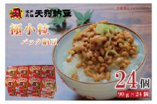【天狗納豆】極小粒パック納豆90g 24個入【納豆 なっとう 老舗 極小粒 大豆 朝食 ご飯 水戸市 水戸 茨城県 10000円以内 1万円以内】（DQ-6）