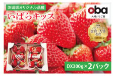 【先行予約】【数量限定】茨城県オリジナル品種『いばらキッス』DX300g×2パック【いちご 苺 フルーツ 果物 くだもの 水戸市 水戸 】（DO-3）