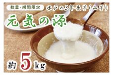 【数量限定 期間限定】水戸の３年長芋（元気の源）【ながいも　山芋　やまいも 野菜 やさい ムカゴ とろろ 茨城県 水戸市 2万円以下 20000円以下】（HD-1）