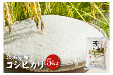 【令和6年産】茨城県産コシヒカリ 5kg 【お米 ごはん こしひかり 老舗 米屋 おにぎり ごはん 茨城県 水戸市 5キロ】(HQ-91)