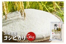 【令和6年産】茨城県産コシヒカリ 5kg 【お米 ごはん こしひかり 老舗 米屋 おにぎり ごはん 茨城県 水戸市 5キロ】(HQ-91)