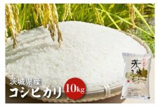 【令和6年産】茨城県産コシヒカリ 10kg 【お米 ごはん こしひかり 老舗 米屋 おにぎり ごはん 茨城県 水戸市 10キロ】(HQ-92)