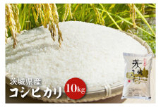 【令和6年産】茨城県産コシヒカリ 10kg 【お米 ごはん こしひかり 老舗 米屋 おにぎり ごはん 茨城県 水戸市 10キロ】(HQ-92)
