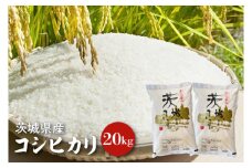 【令和6年産】茨城県産コシヒカリ 20kg 【お米 ごはん こしひかり 老舗 米屋 おにぎり ごはん 茨城県 水戸市 20キロ】(HQ-93)