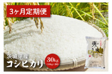 【令和6年産】【３ヵ月定期便】茨城県産コシヒカリ 10kg×3【定期便 お米 ごはん こしひかり 老舗 米屋 おにぎり ごはん 茨城県 水戸市 30キロ】(HQ-95)