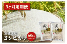 【令和6年産】【３ヵ月定期便】茨城県産コシヒカリ 20kg×3 【定期便 お米 ごはん こしひかり 老舗 米屋 おにぎり ごはん 茨城県 水戸市 60キロ】(HQ-96)