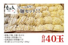 た～っぷり！麺セット！！　細麺、中麺、太麺×各10玉　　茨城産小麦粉麺×5玉　　北海道産小麦粉麺×5玉　　計４０玉（１袋５玉入り×８袋）(HS-2)