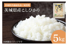 【令和6年度産】茨城県産こしひかり 5kg（茨城県共通返礼品/城里町）【お米 ごはん こしひかり おいしい 白米 茨城県産 水戸市】（IH-6049）