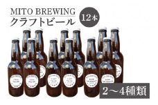 第１回水戸さきがけビジネス大賞 優秀賞受賞！クラフトビール12本詰め合わせ【お酒 クラフトビール ビール ふるさと納税 水戸市 茨城県】（GW-2）
